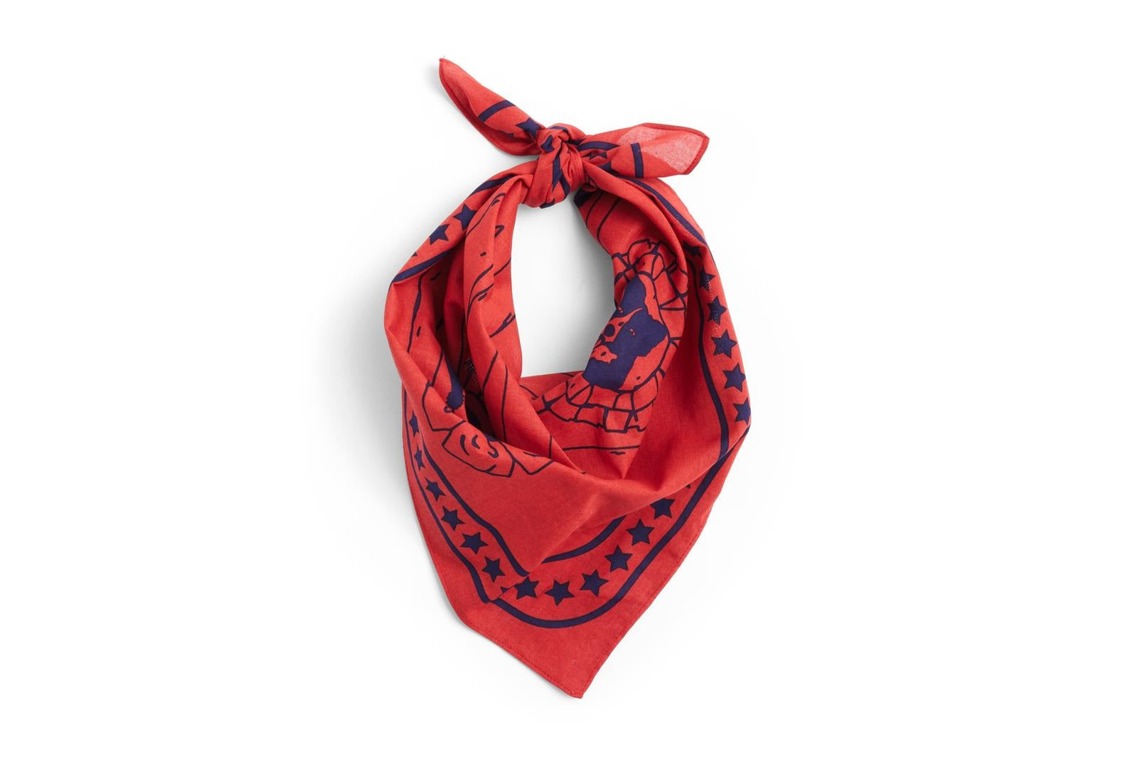 HAY - Dog Scarf