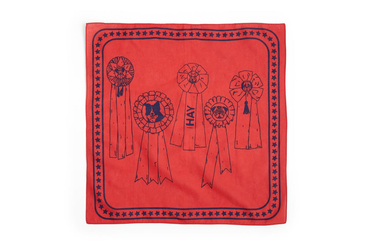 HAY - Dogs Scarf (RECYCLED)