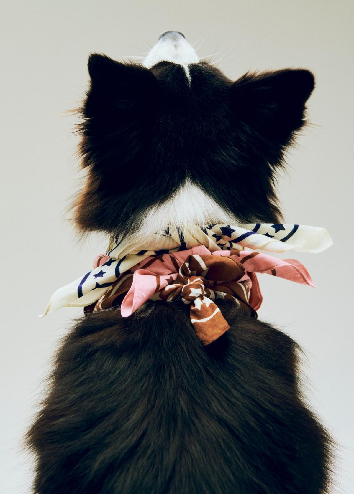 HAY - Dogs Scarf (RECYCLED)